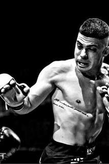 Profilový obrázek - Riccardo Pala