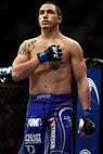 Robert Whittaker
