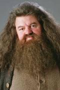 Profilový obrázek - Rubeus Hagrid