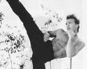 Sean Patrick Flanery