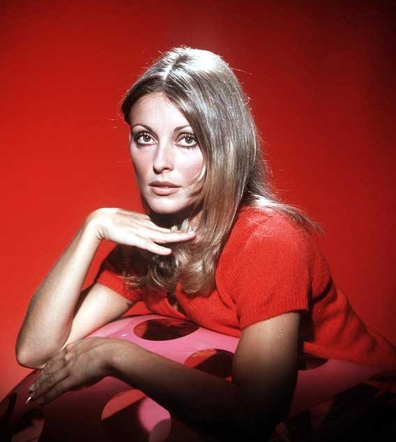 Sharon Tate in the beverly hillbillies