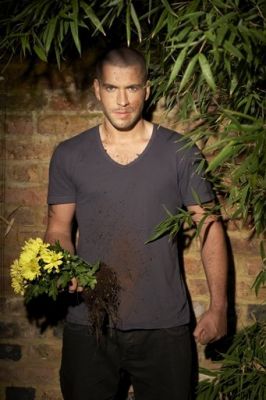 Shayne Ward