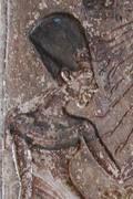 Profilový obrázek - Smenchkare - Nefertiti
