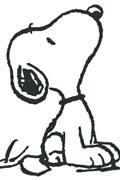 Profilový obrázek - Snoopy