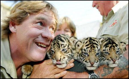 Steve Irwin