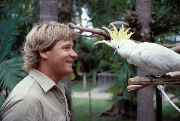 Steve Irwin