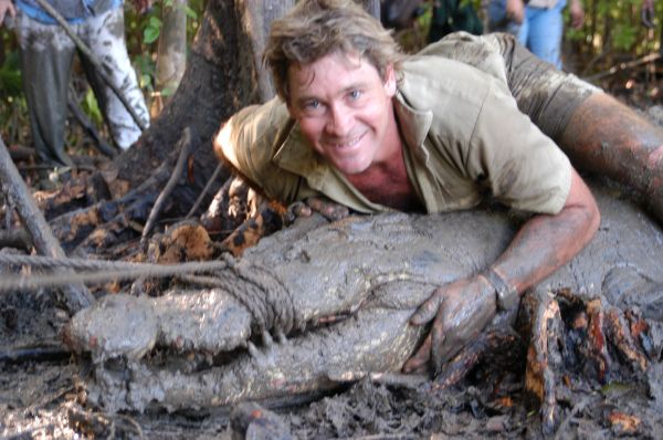 Steve Irwin