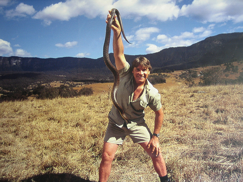 Steve Irwin
