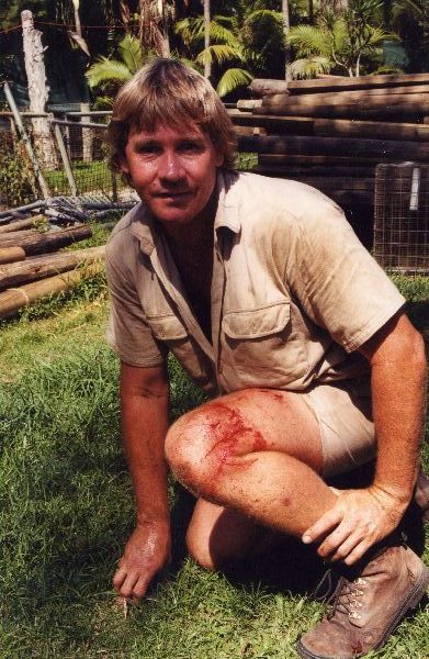 Steve Irwin