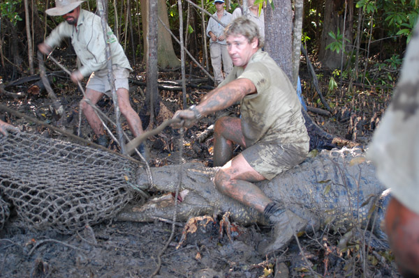 Steve Irwin