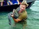 Steve Irwin