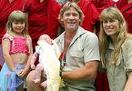 Steve Irwin
