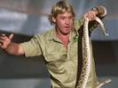 Steve Irwin