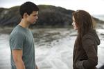 Taylor Lautner