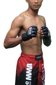 Profilový obrázek - Yoga Prabowo