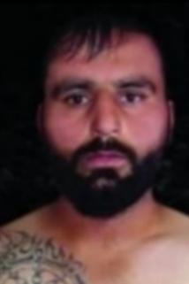 Profilový obrázek - Yonus Rahmani