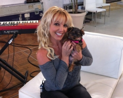 Britney štěně