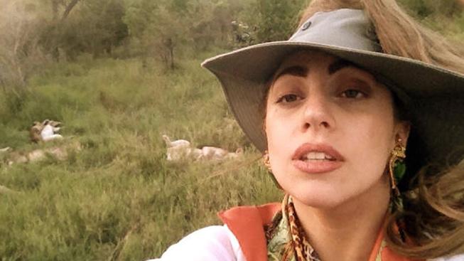 Lady Gaga vyrazila na safari mezi lvy Lady Gaga