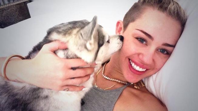 Miley Cyrus moc dlouho single nevydržela. Už  má novou lásku!