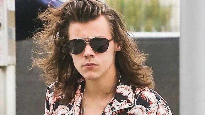 Harry Styles vyrazil dech svým fanouškům: Uvažuje o kariéře realitního makléře!