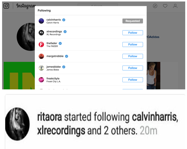 Calvin Harris a Rita Ora se sledují