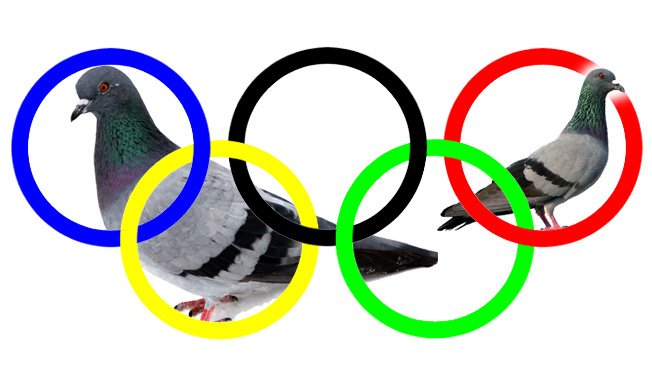 X nejdivnějších olympijských sportů