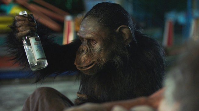 Filmové premiéry: Síla závislosti a přátelství mezi člověkem a šimpanzem
