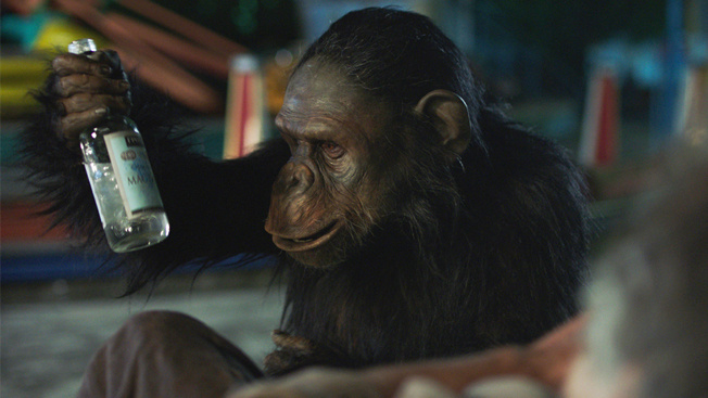 Filmové premiéry: Síla závislosti a přátelství mezi člověkem a šimpanzem