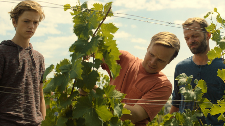 Filmové premiéry: Nová vinařská dobrodružství a podivná náboženská sekta