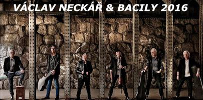 Bacily 
