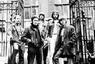 Climax Blues Band 