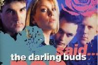 Profilový obrázek - Darling Buds, The