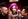 Icon For Hire 