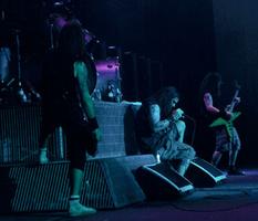 Pantera 