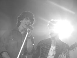 Jonas Brothers, The 