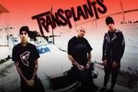 Transplants 
