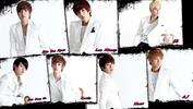 U-Kiss