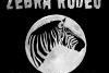 Zebra Rodeo 