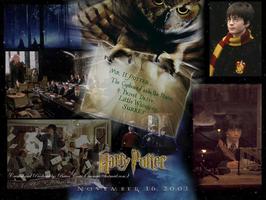 Harry Potter a Kámen mudrců 