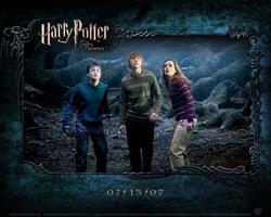 Harry Potter a Fénixův řád 