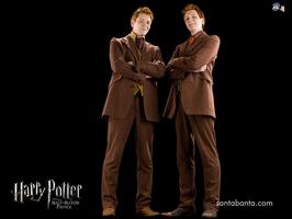 Harry Potter a Princ dvojí krve 