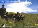 Cranberries, The