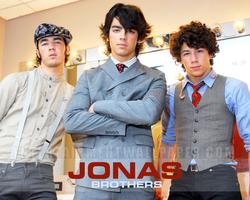 Jonas Brothers, The 