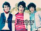 Jonas Brothers, The