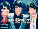 Jonas Brothers, The