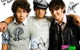 Jonas Brothers, The