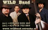 WILD Band