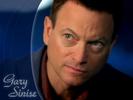 Gary Sinise