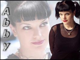 Pauley Perrette