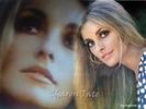 Sharon Tate